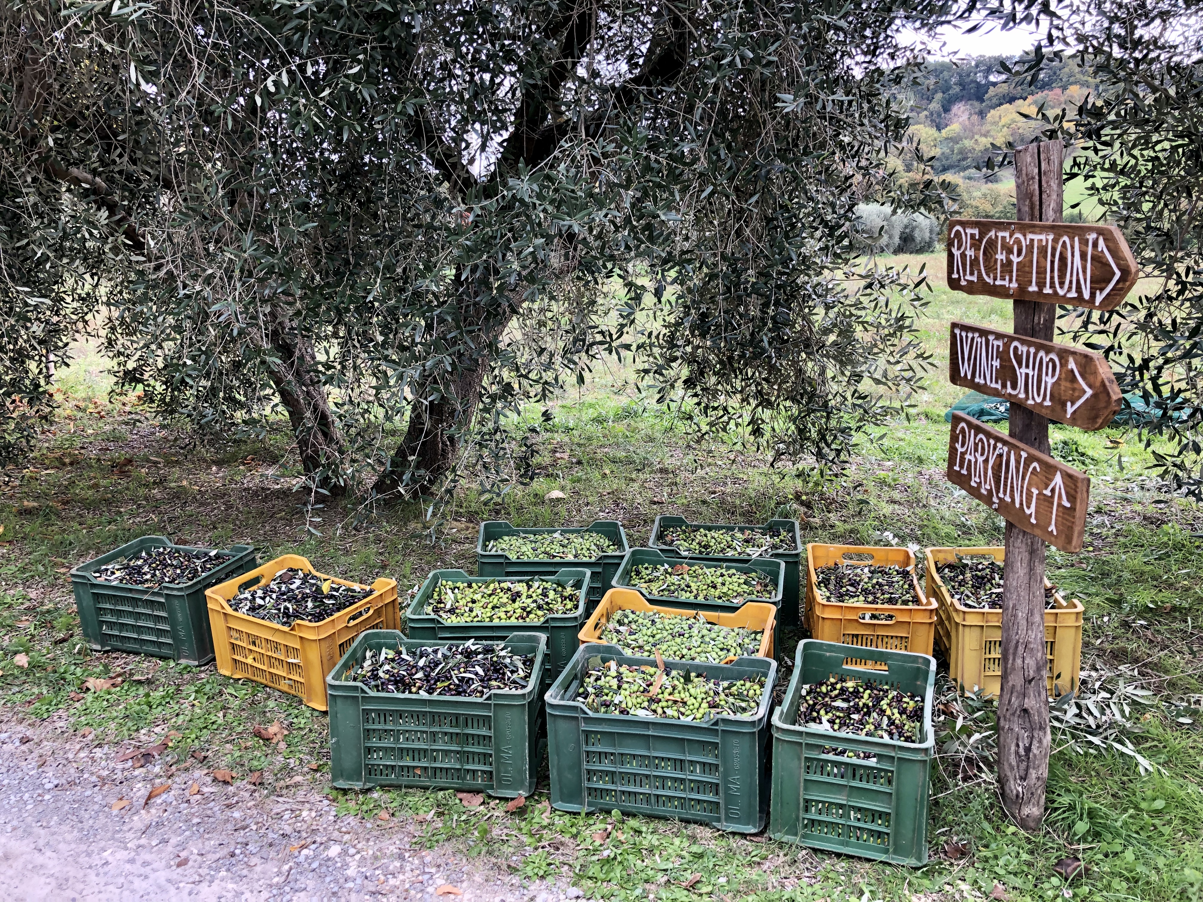 2020_Italien