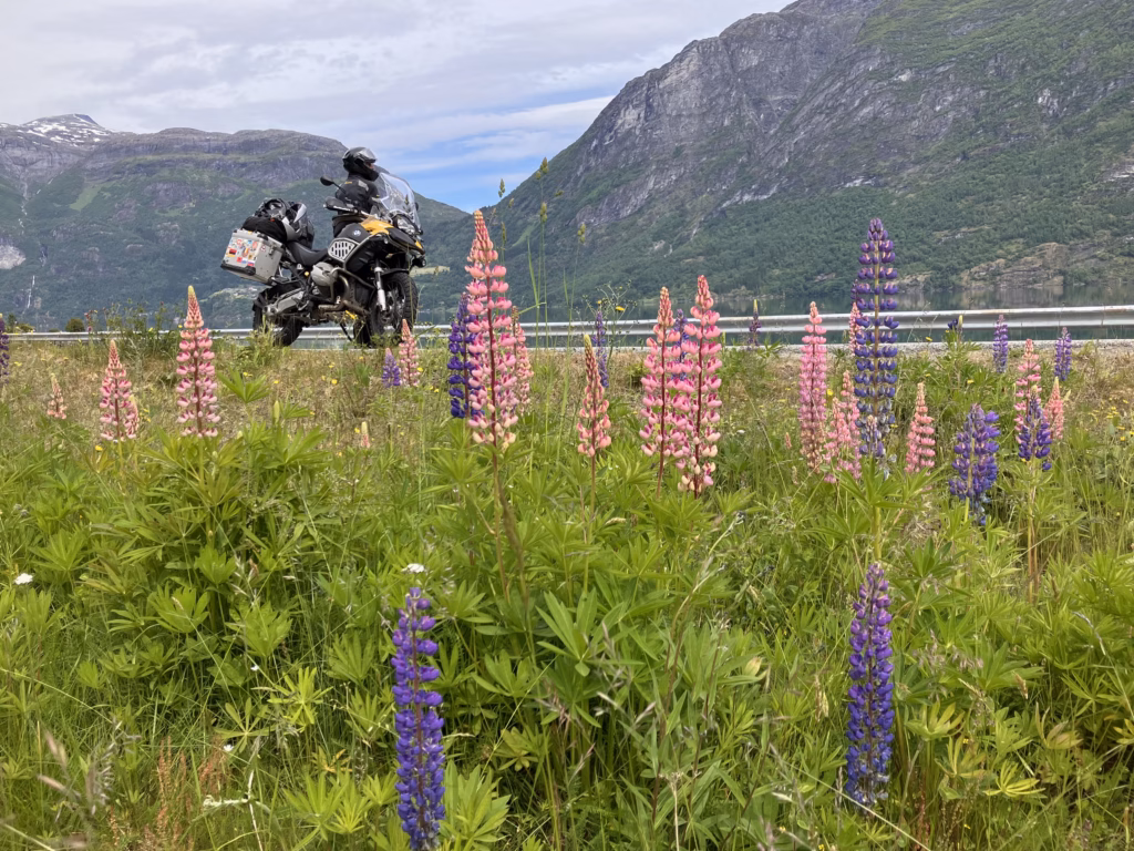 Am Weg nach Geiranger Norwegen
