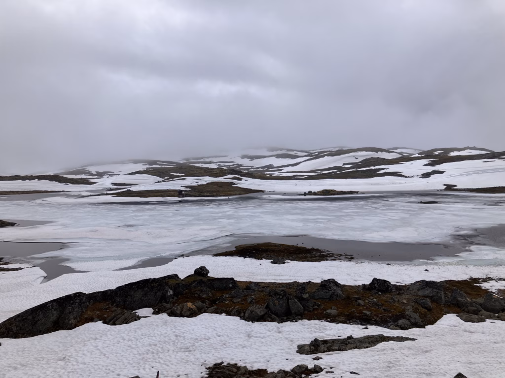 Sognefjellet Norwegen