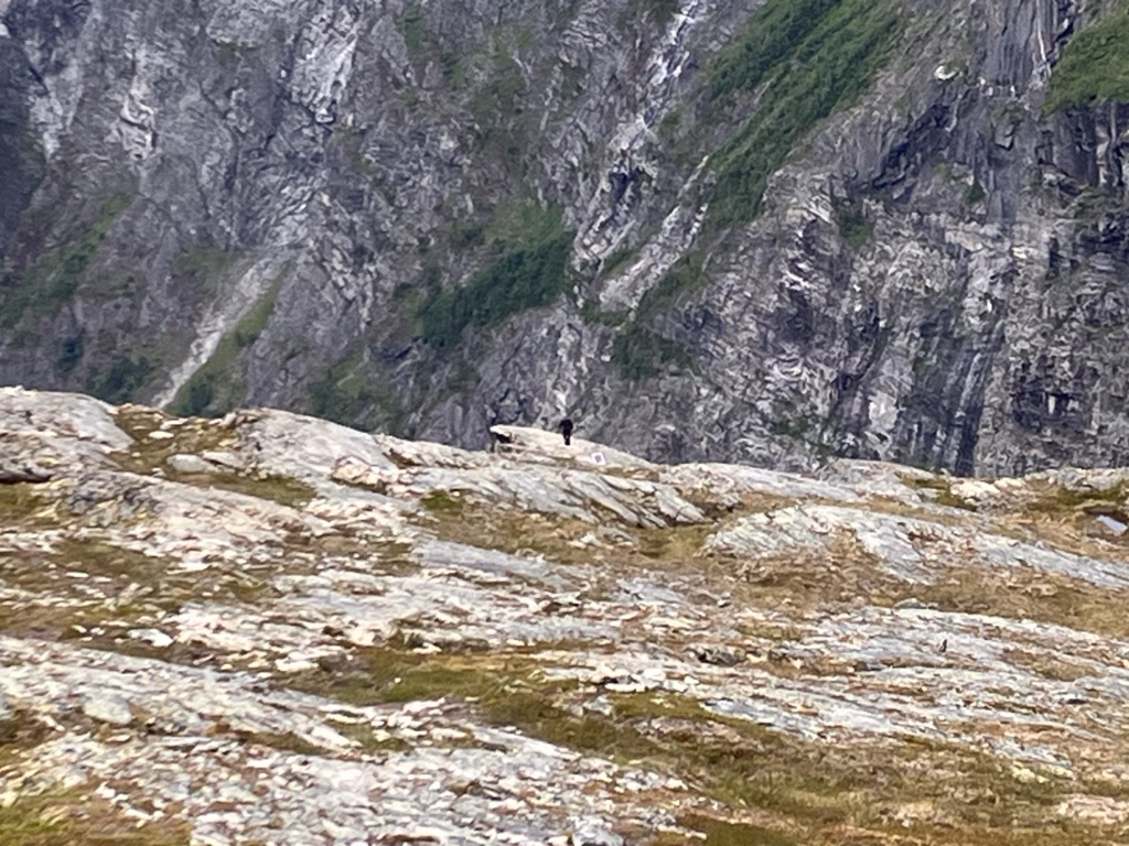 Aurstauped Norwegen