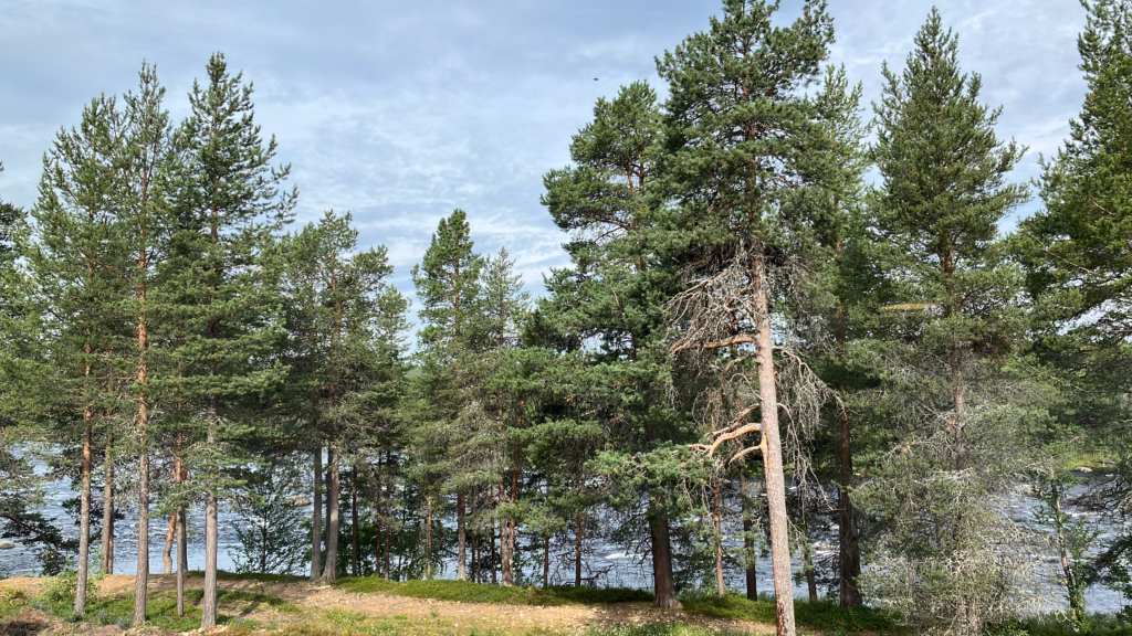 Inari am Fluss Juuta Finnland