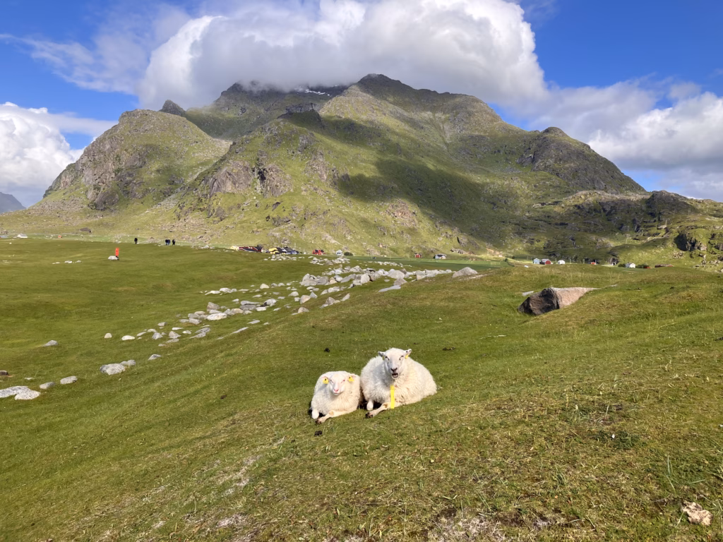 Uttakleivstrand Lofoten Norwegen
