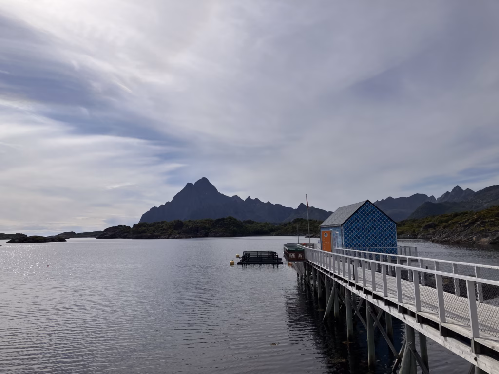 Lachsprojekt Skrei Lofoten Norwegen