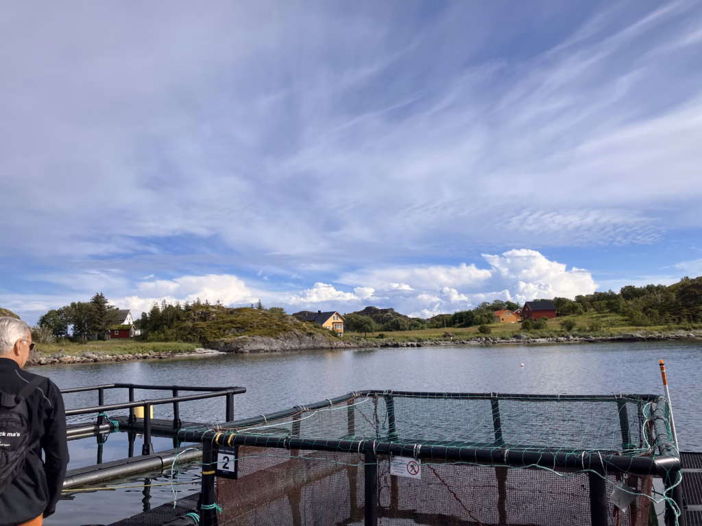 Lachsprojekt Skrei Lofoten Norwegen