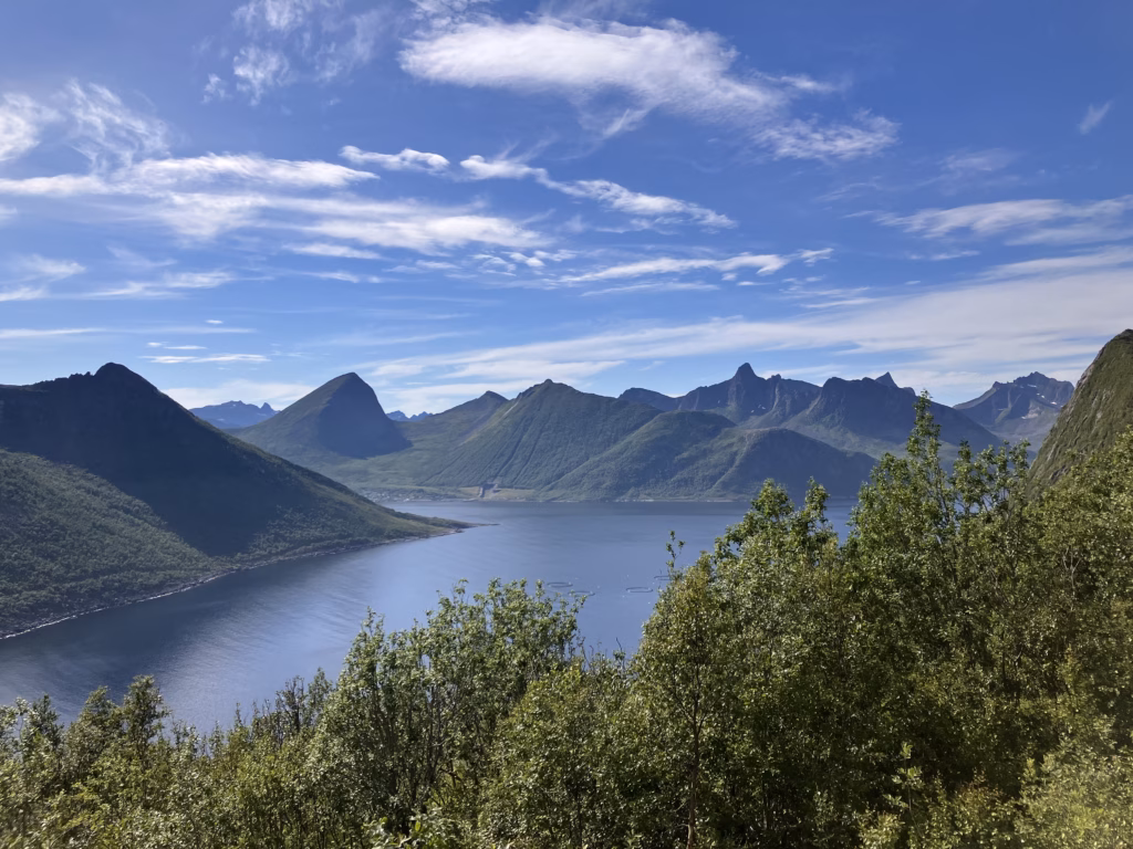 Husoy Senja Norwegen