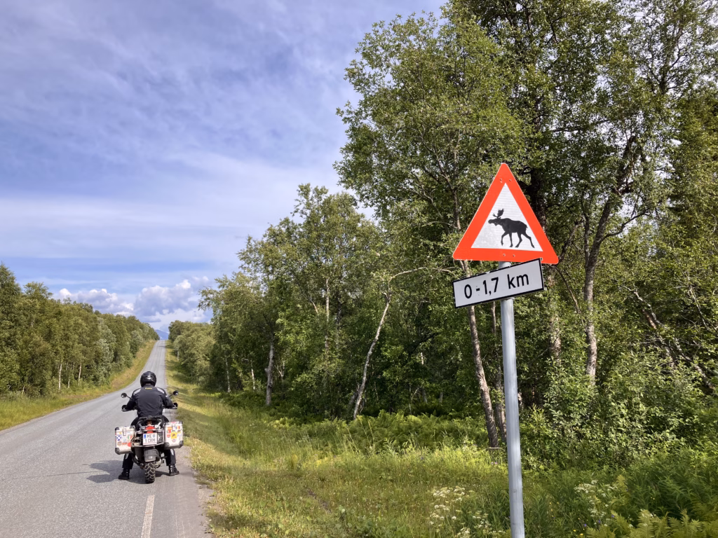 Elchschild Norwegen