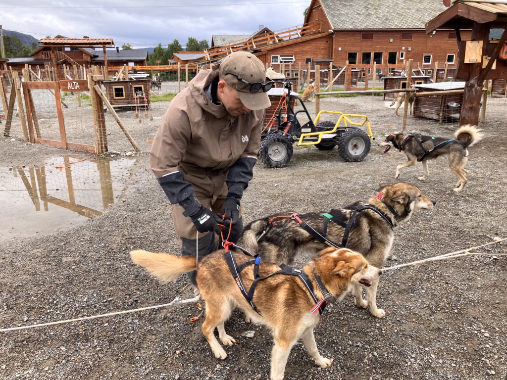 Holmen Husky Lodge Alta Norwegen