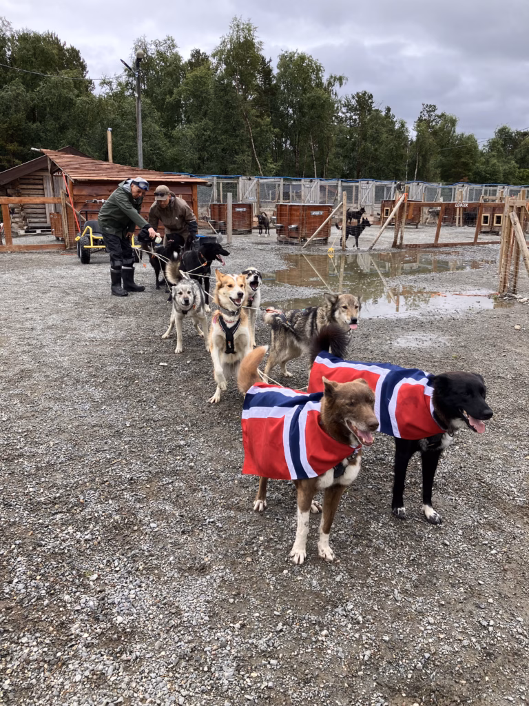 Holmen Husky Lodge Alta Norwegen