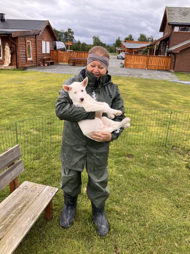 Holmen Husky Lodge Alta Norwegen