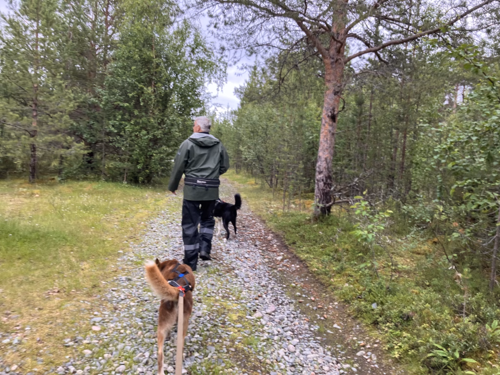 Holmen Husky Lodge Alta Norwegen