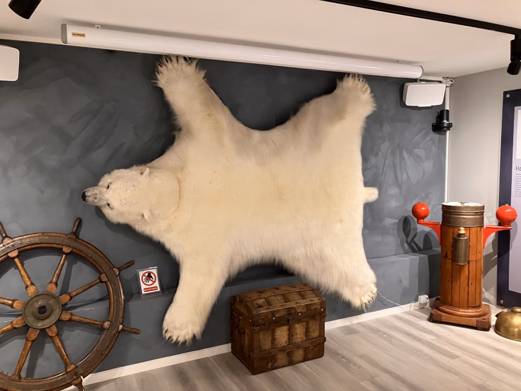 Eisbärclub Hammerfest Norwegen