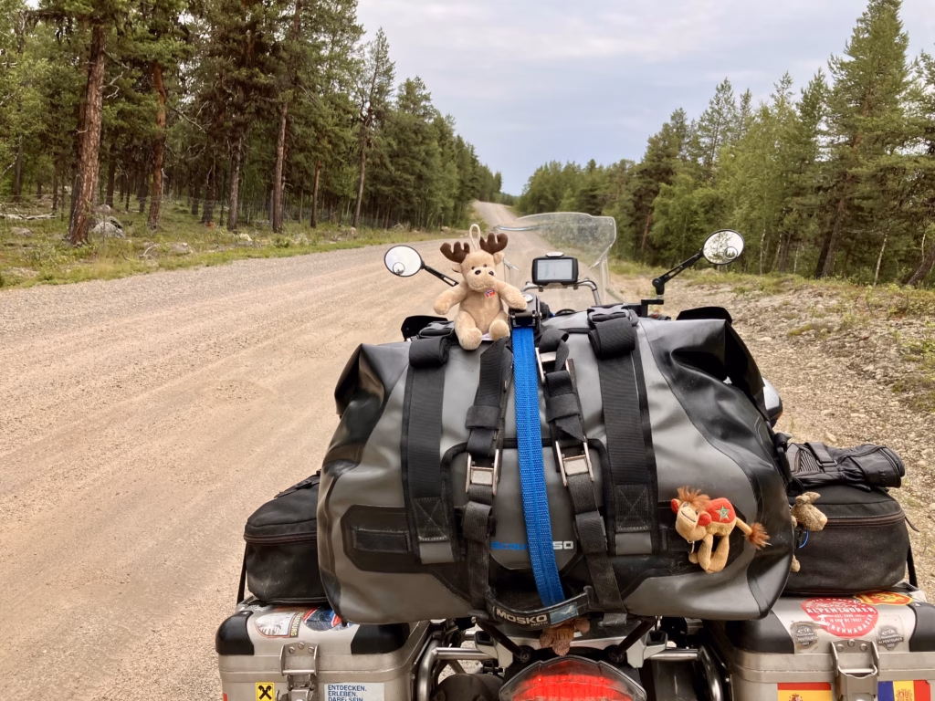 Der einzige Elch in Finnland