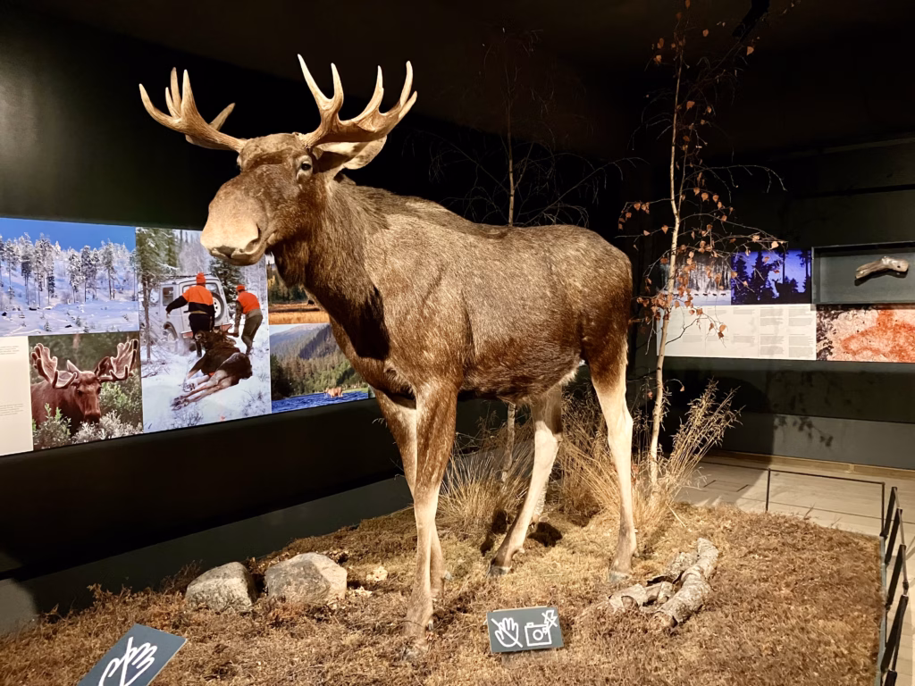 Arktikum Rovaniemi Finnland