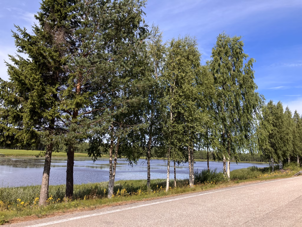 Irgendwo im Nirgendwo Schweden