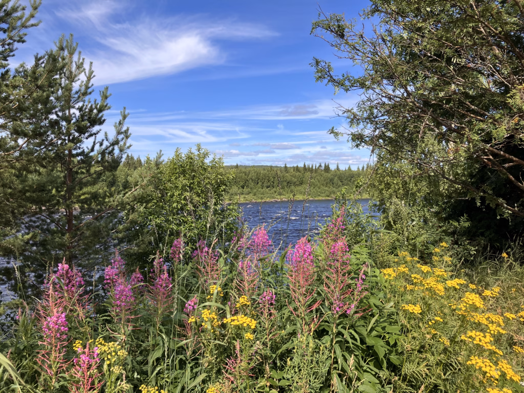 Beim Grenzübergang Pello Finnland Schweden
