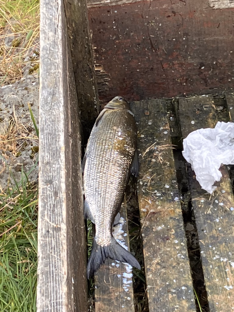 Kukkolaforsen Schweden