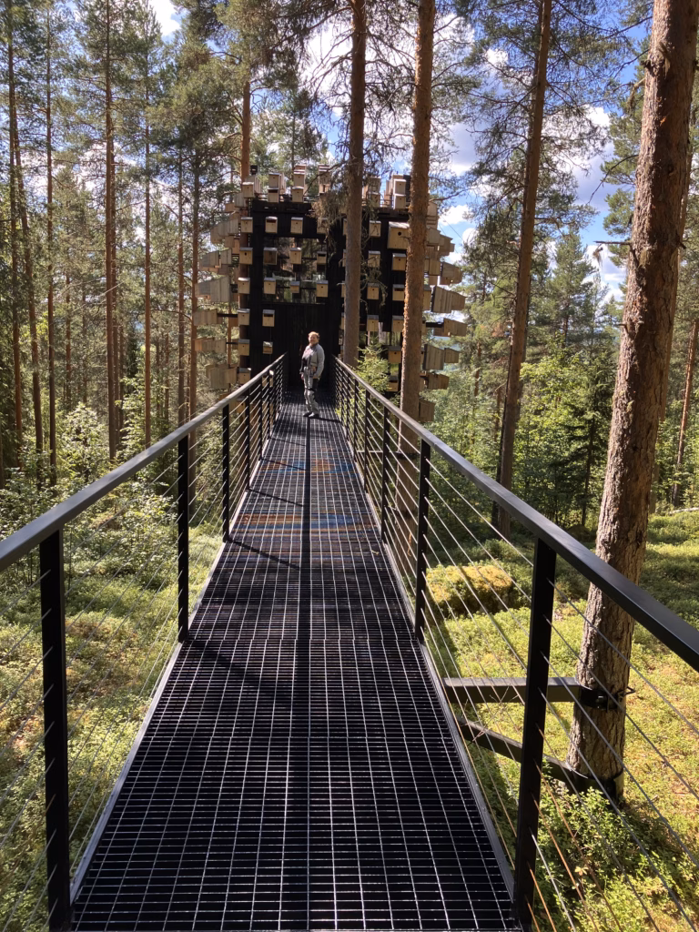 Treehotel Harads Schweden
