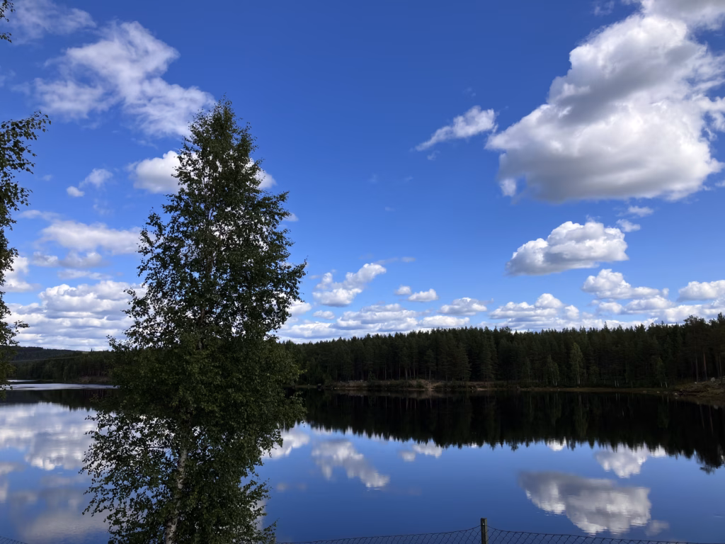 Irgendwo Schweden