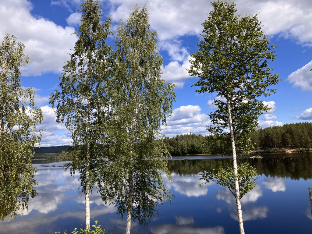 Irgendwo in Schweden