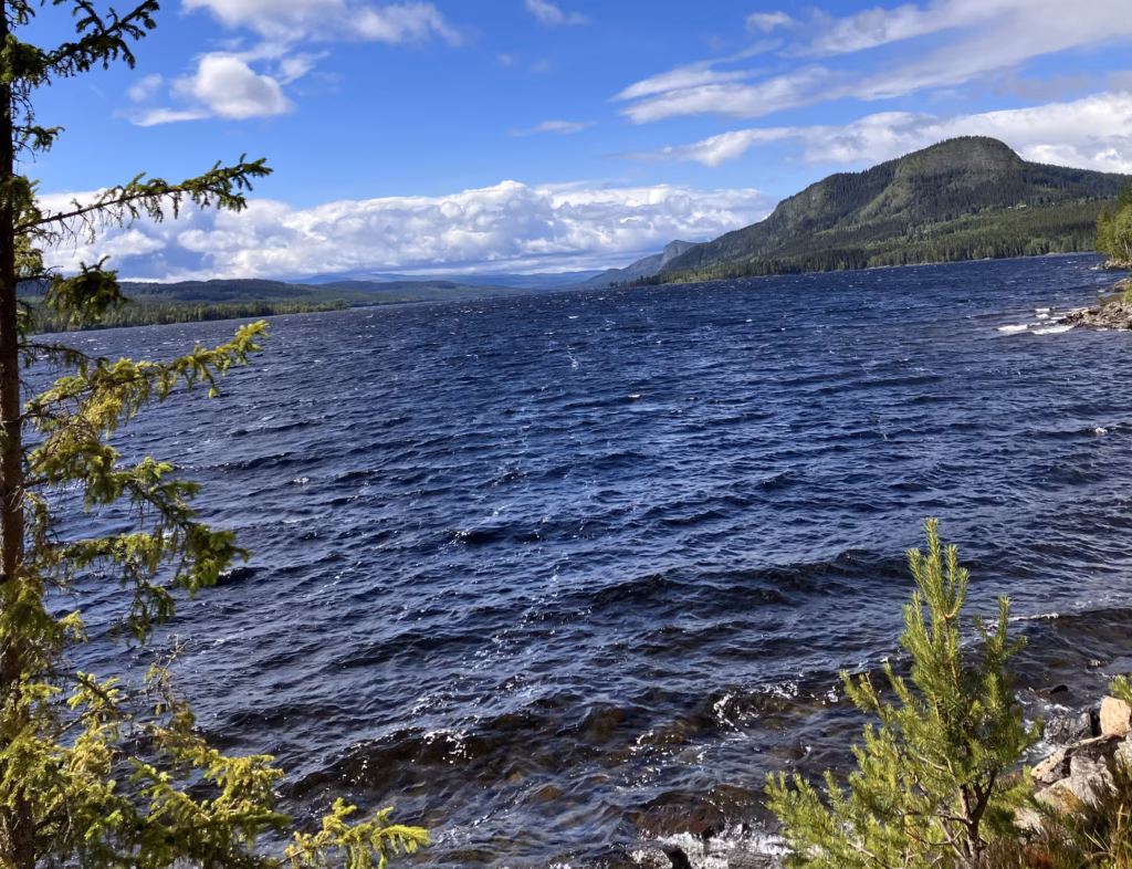 Irgendwo in Schweden