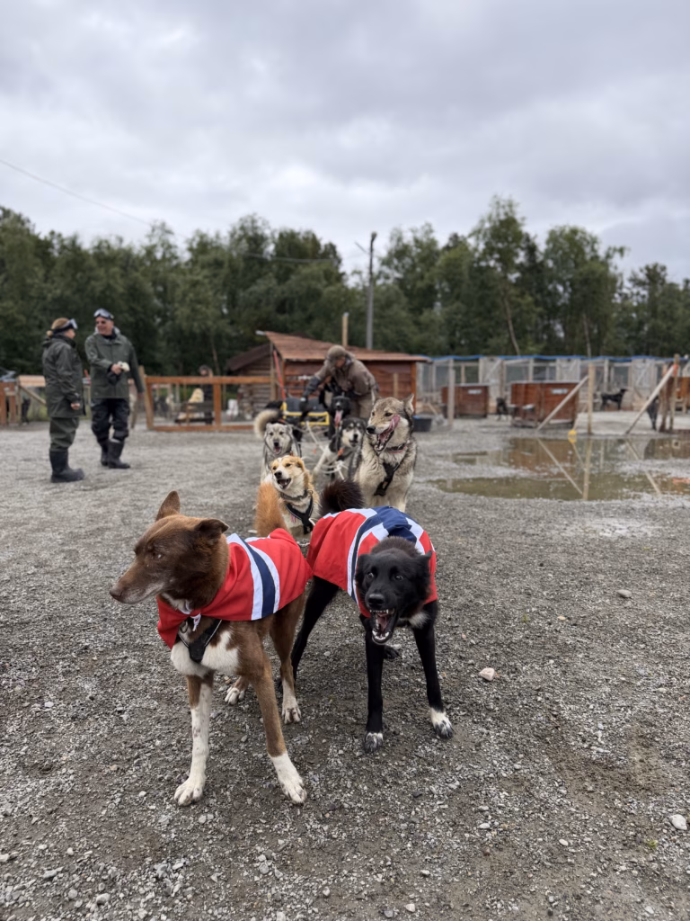 Holmen Husky Lodge Alta Norwegen