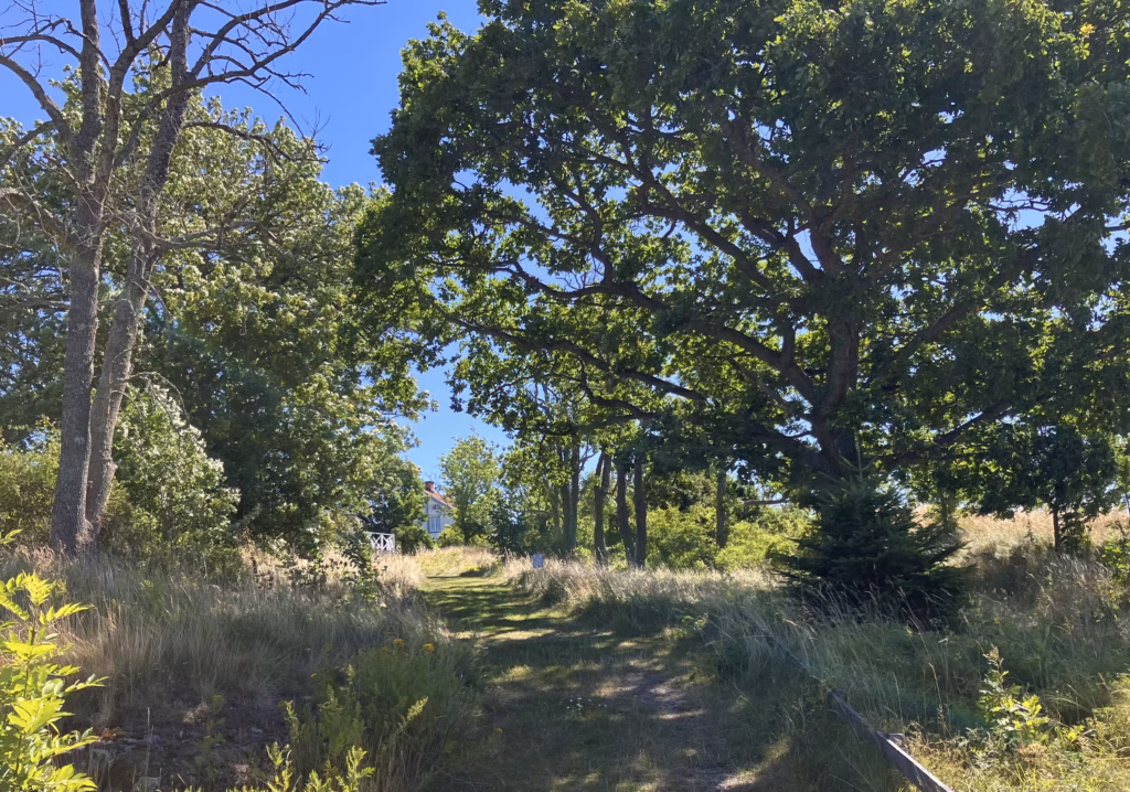Südschweden